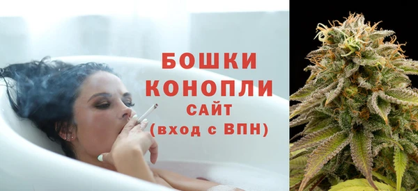 трава Белокуриха