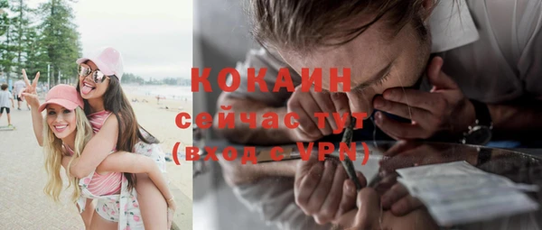 индика Бронницы
