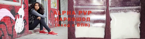 индика Бронницы