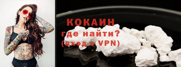 индика Бронницы