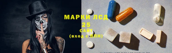 трава Белокуриха