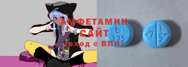 spice Богородицк