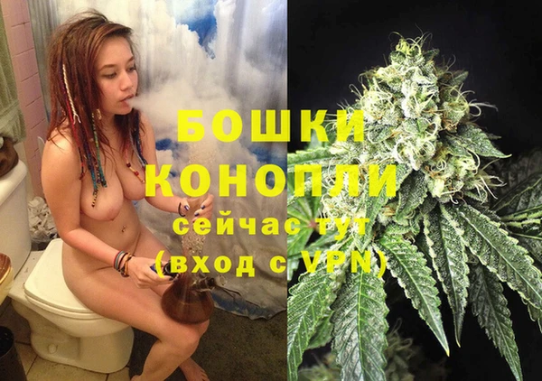индика Бронницы
