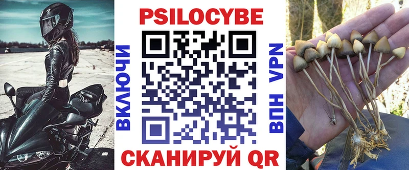 Галлюциногенные грибы мухоморы  Белёв 